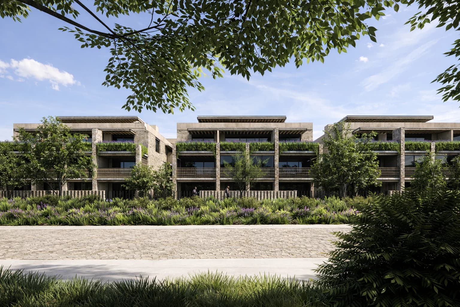 Conjunto de vivienda contemporánea entre árboles — D091, San Miguel de Allende